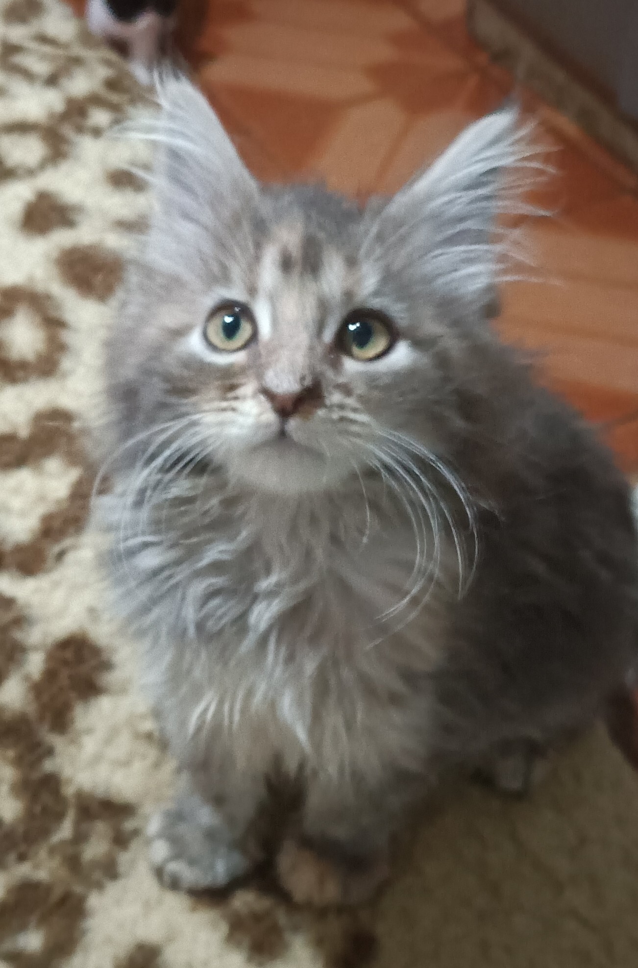Evelyn 