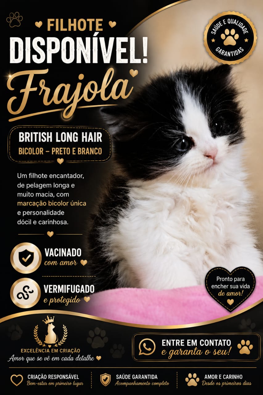 Frajola